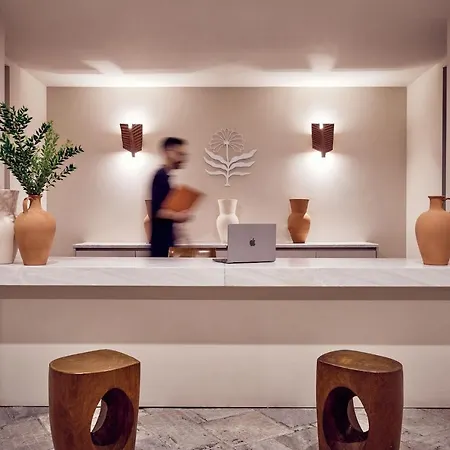 호텔 Mykonos Theoxenia, A Member Of Design Mykonos Town